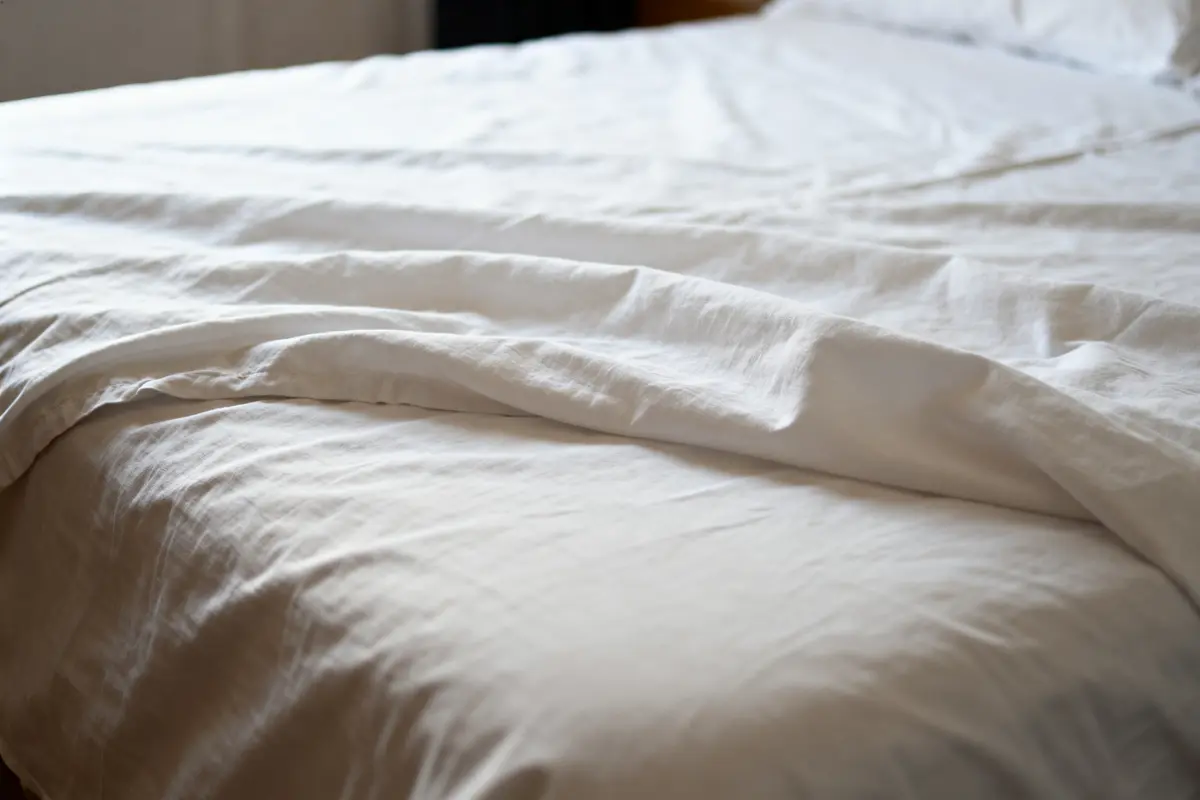 Drap blanc : Guide d’achat, draps plats et housse pas cher